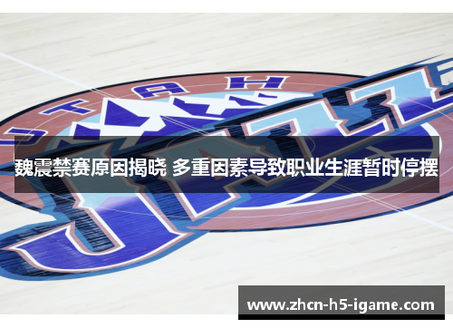 魏震禁赛原因揭晓 多重因素导致职业生涯暂时停摆 魏震禁赛原因揭晓 多重因素导致职业生涯暂时停摆