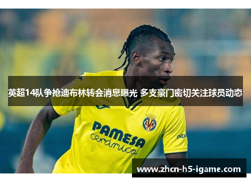 英超14队争抢迪布林转会消息曝光 多支豪门密切关注球员动态 英超14队争抢迪布林转会消息曝光 多支豪门密切关注球员动态