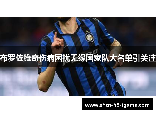 布罗佐维奇伤病困扰无缘国家队大名单引关注 布罗佐维奇伤病困扰无缘国家队大名单引关注